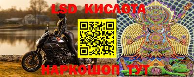 гидра Бузулук