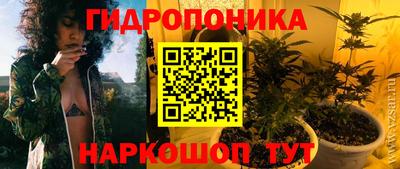 МДПВ Будённовск