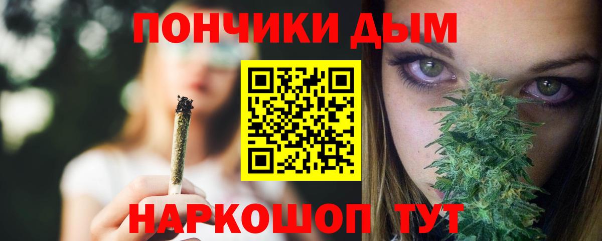 Каннабис сатива  Каннабис Ganja  Вход с VPN  Каннабис план  Прокопьевск 